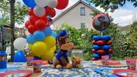 FASH events kinderfeestje PAW Patrol